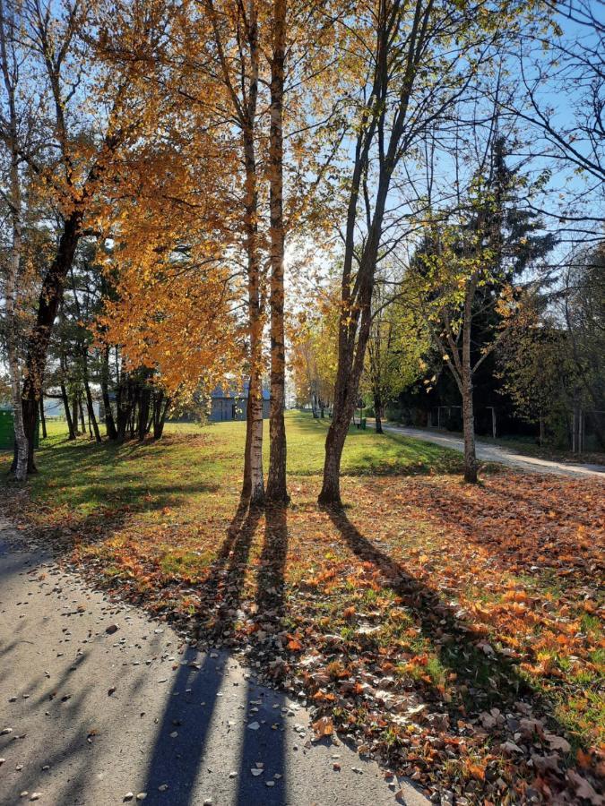 Lake & Library Boutique Hotel Ignalina Bagian luar foto